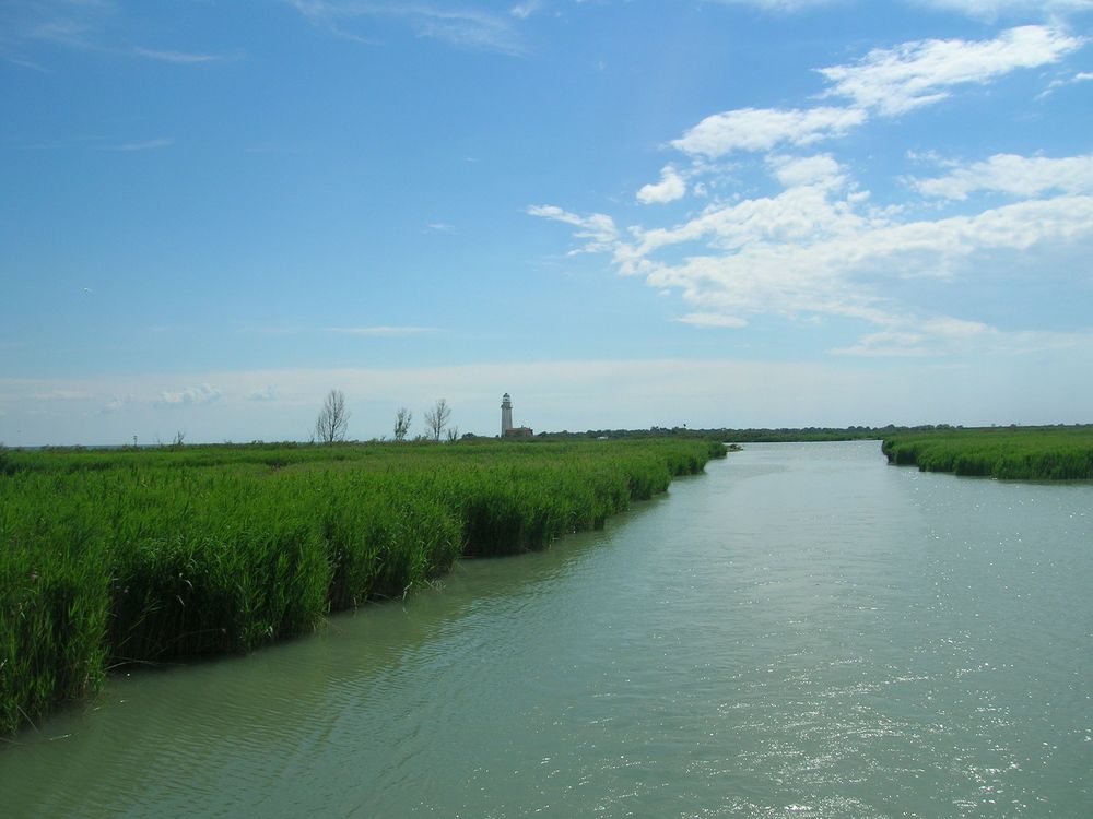 Vacanze in Italia con bambini: Valli di Comacchio