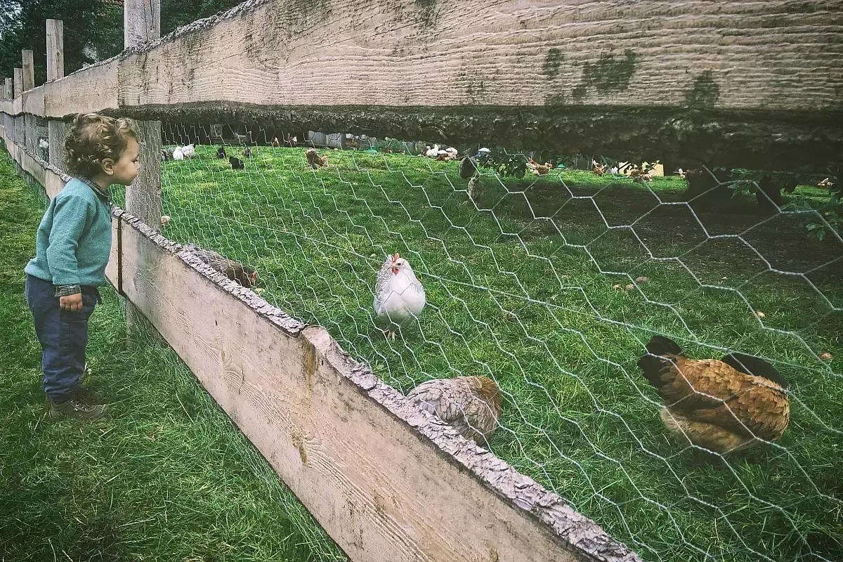 rowan s 358143 unsplash