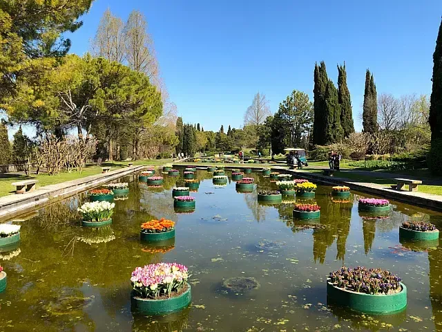 shutterstock 1527030245