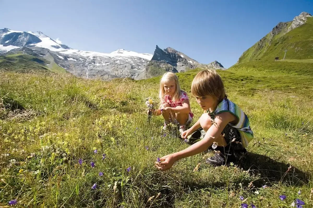 Kids Bergblumen