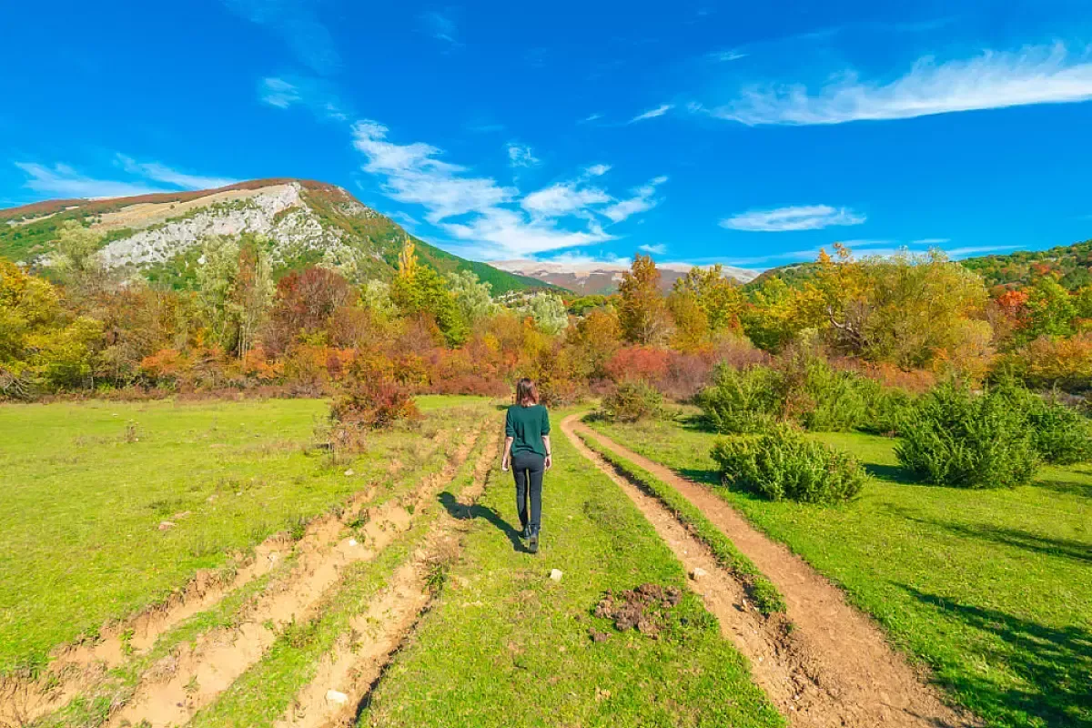 Parco Nazionale dAbruzzo Lazio e Molise 1567505098