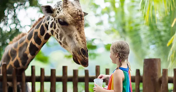 animali-fantastici