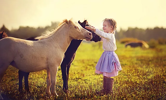 Bambina con pony