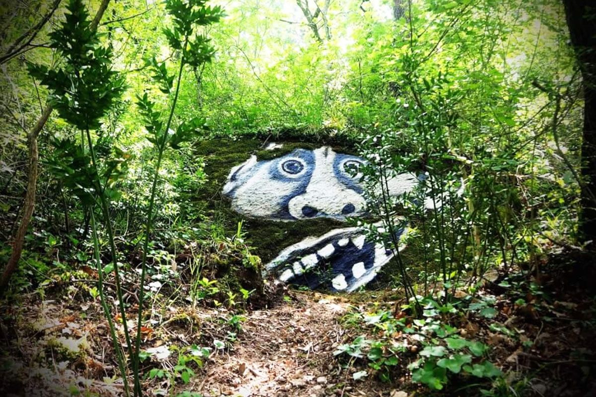 bosco delle meraviglie