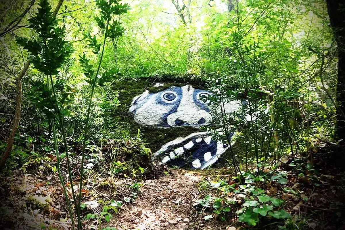 bosco delle meraviglie