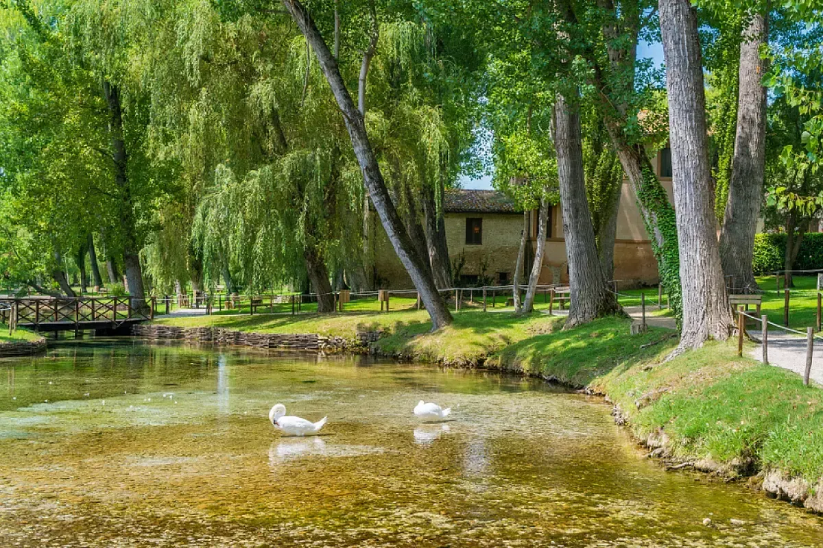 fonti del clitunno con bambini