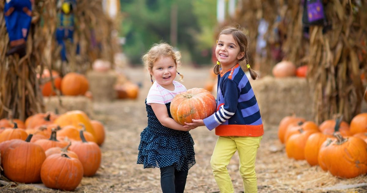 pumpkin-patch