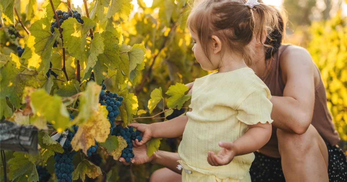 vendemmiare-con-i-bambini
