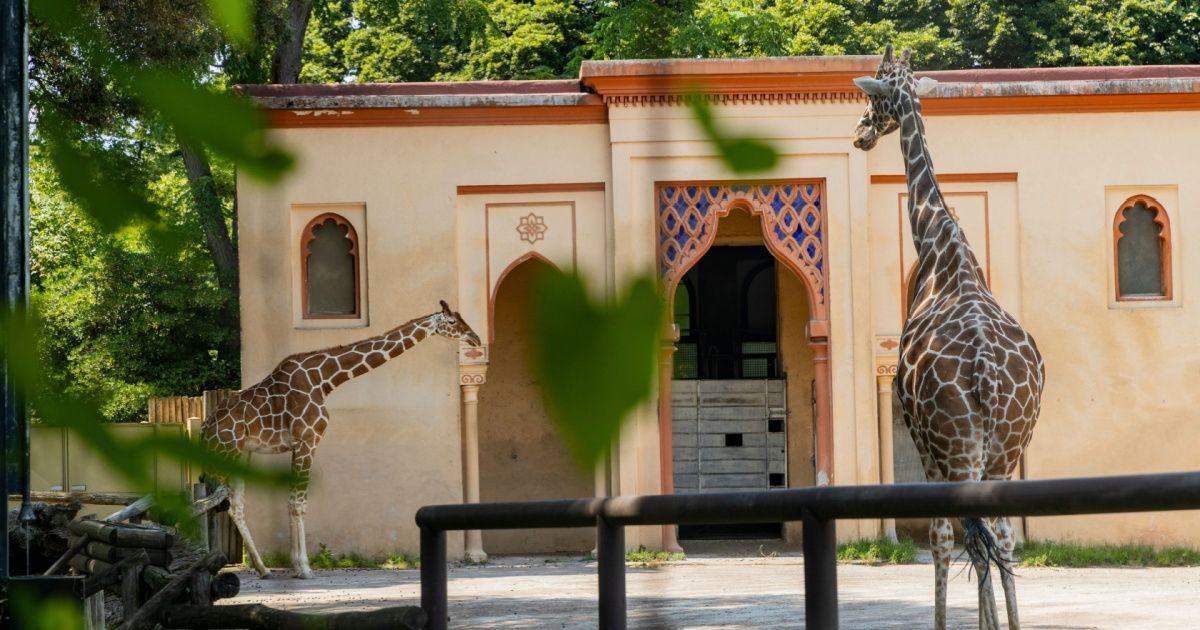 villa-borghese-bambini