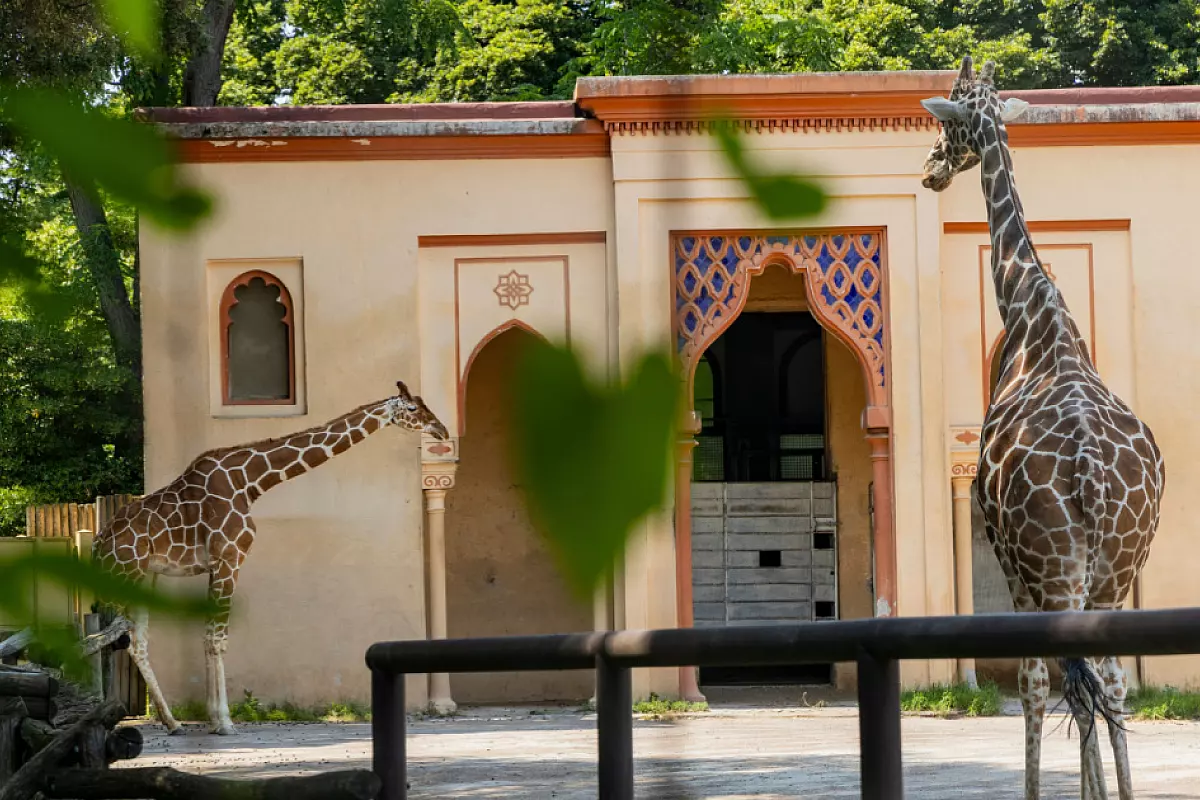 villa-borghese-bambini