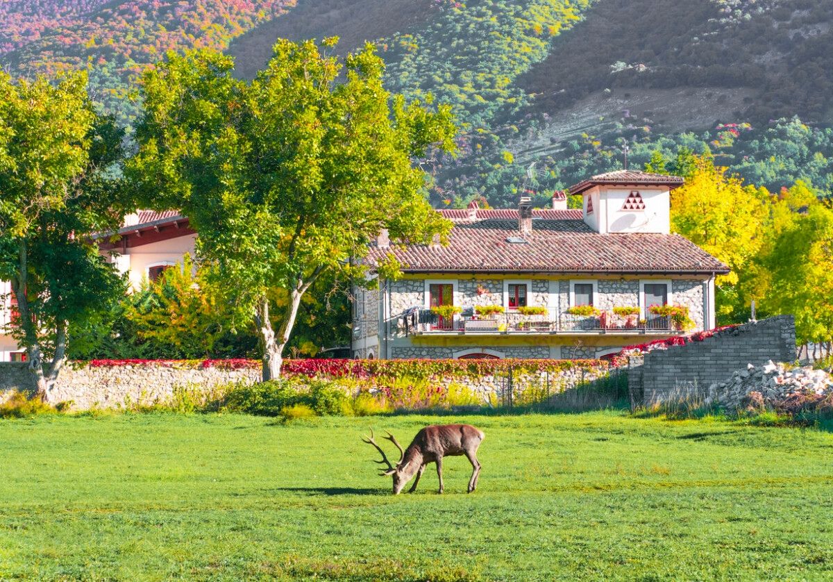 villetta barrea daini