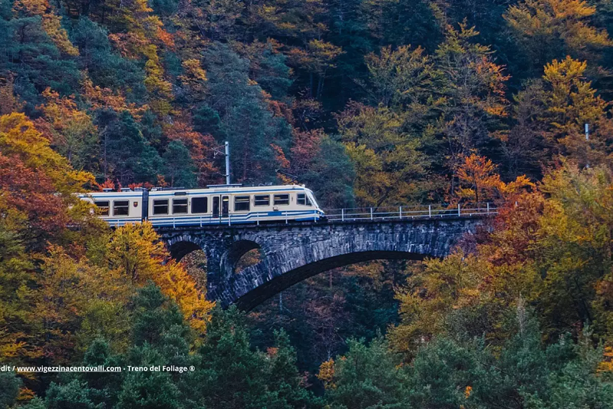 Credit / www.vigezzinacentovalli.com - Treno del Foliage ® 