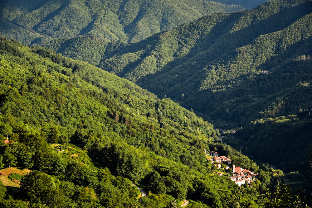 Foresta del Teso, Orsigna