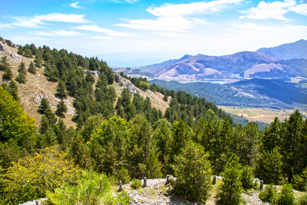 Pollino, Calabria